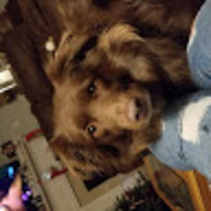 Meet your Posher, Zoey